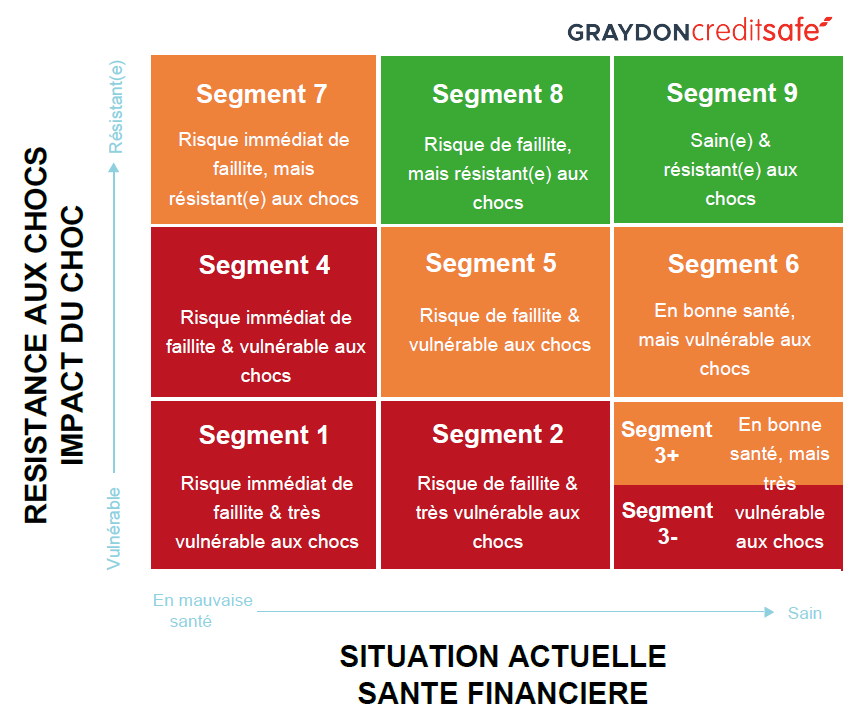 9-grille résistance aux chocs