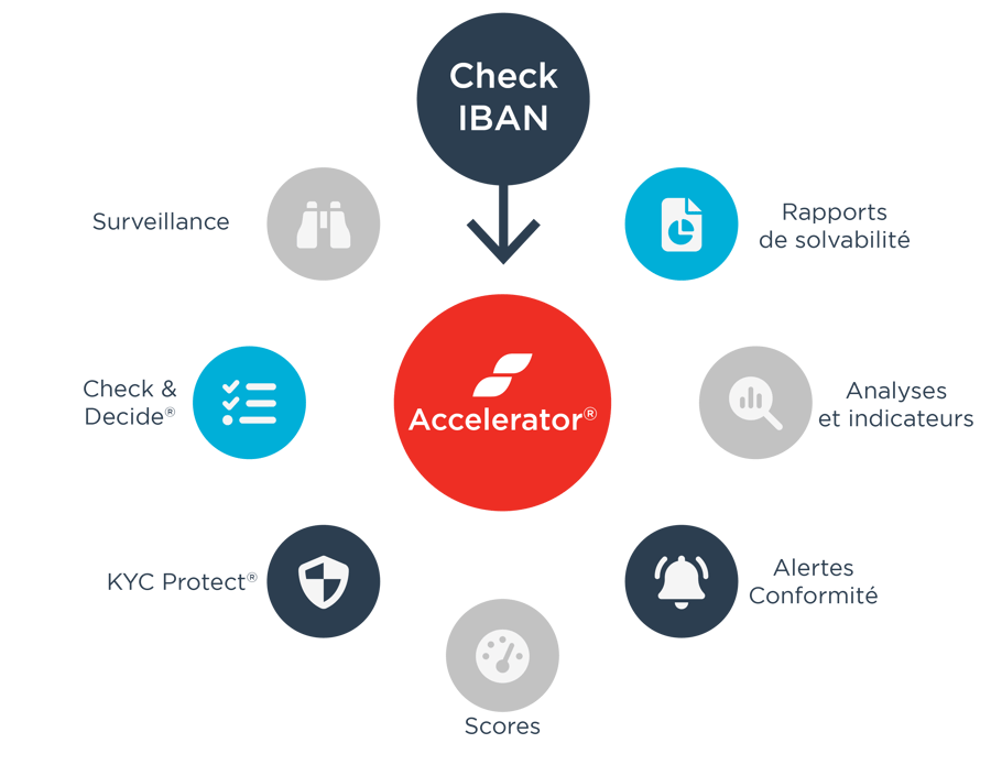 schema integration check IBAN dans accelerator